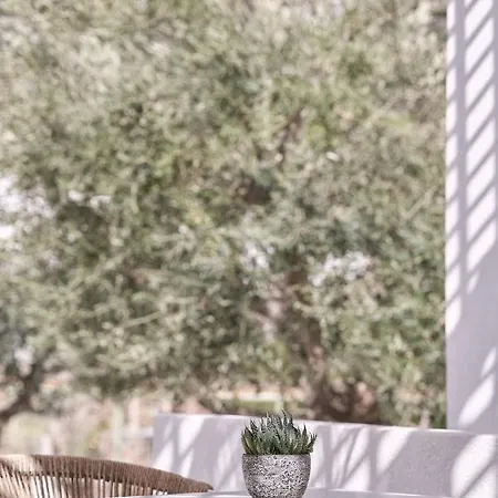 Isida Andros Hotel *