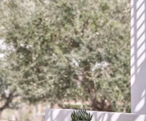 Isida Andros 酒店 *